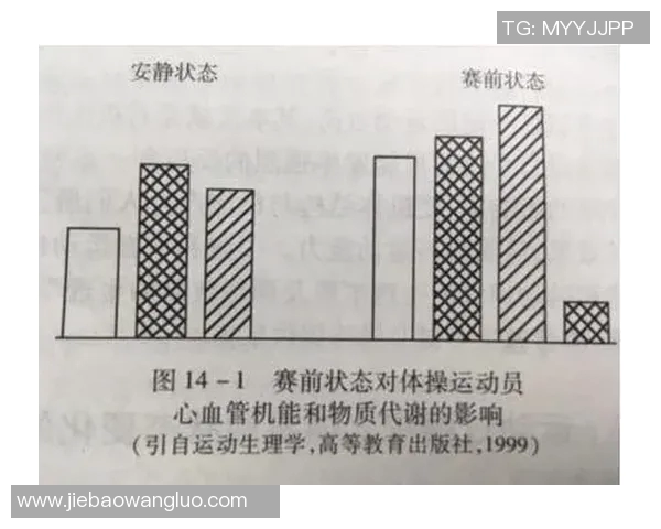 场面变化状态的多维解析与影响因素探讨 场面变化状态的多维解析与影响因素探讨